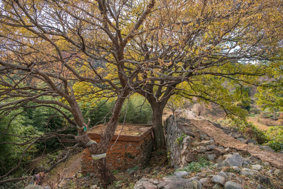 [한려해상국립공원] 걷기 좋은 구조라성 트레킹 코스