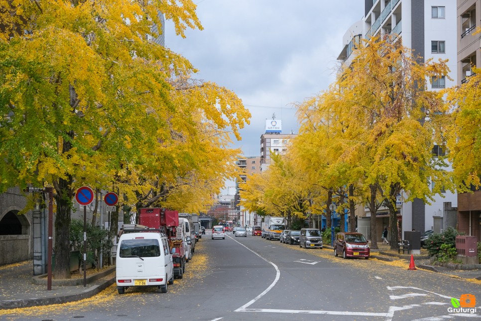 일본 여행지 추천 하우스텐보스 근교 일본 후쿠오카 나가사키 여행