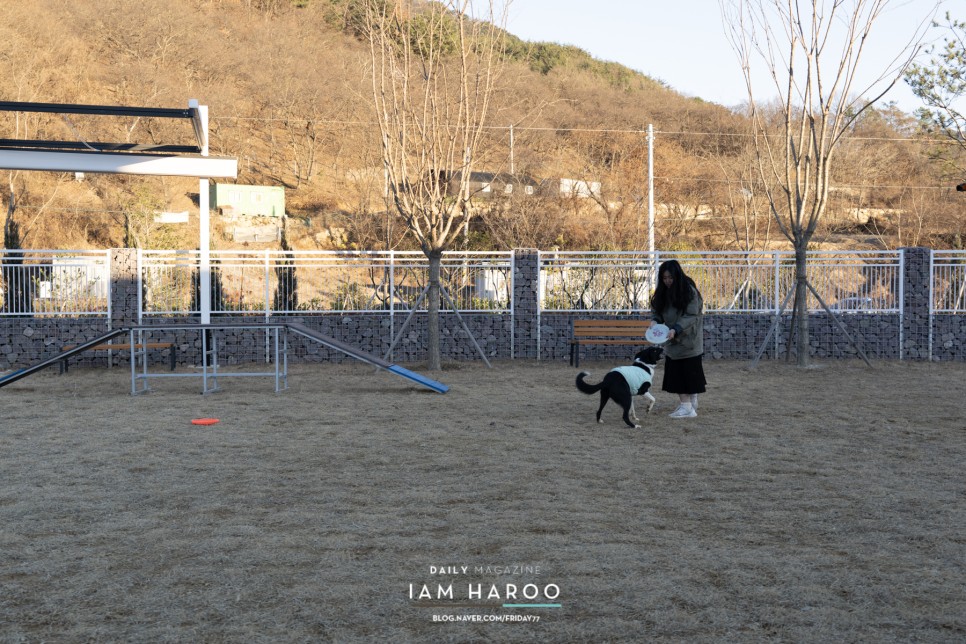 경남 밀양 여행  반려견 동반 반려동물지원센터 체험 아이와 가볼만한곳