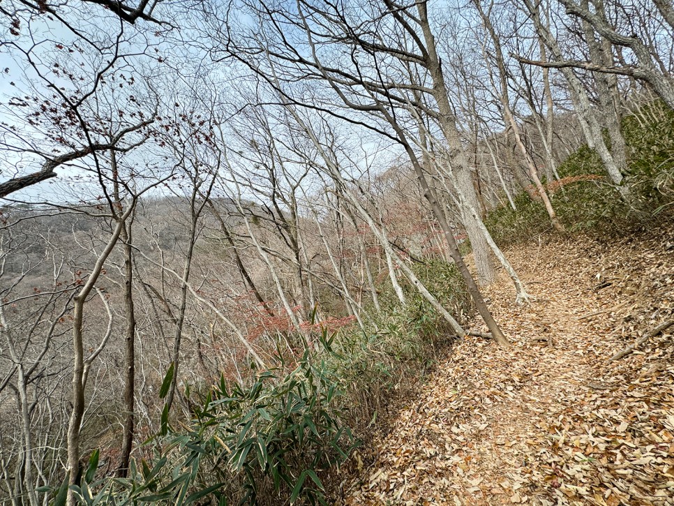 [89] 순천 조계산 반바퀴 등산, 선암사 원점회귀 (보리밥 x)