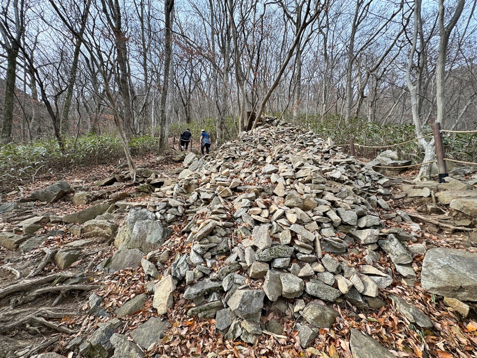 [89] 순천 조계산 반바퀴 등산, 선암사 원점회귀 (보리밥 x)