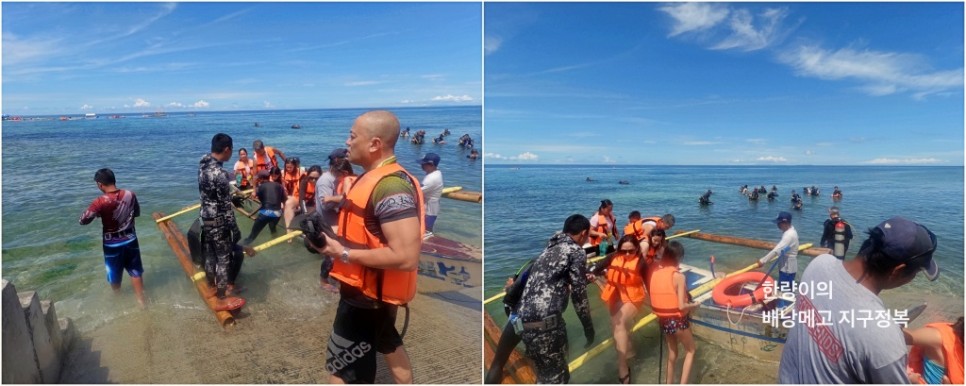 필리핀 보홀 자유여행 고래상어 투어 핵심 일정