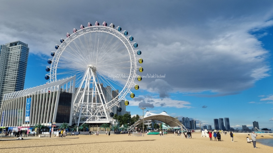 [겨울의 속초, 온천여행 Day3] 넥스트레벨 & 속초아이대관람차 & 속초수산시장