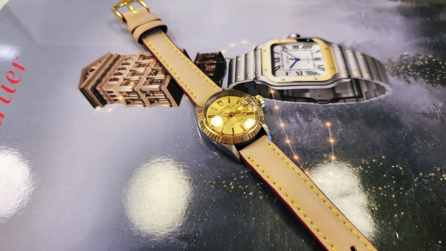루이비통 옷을 입은 튜더 오이스터 데이트 오토매틱 여성 시계