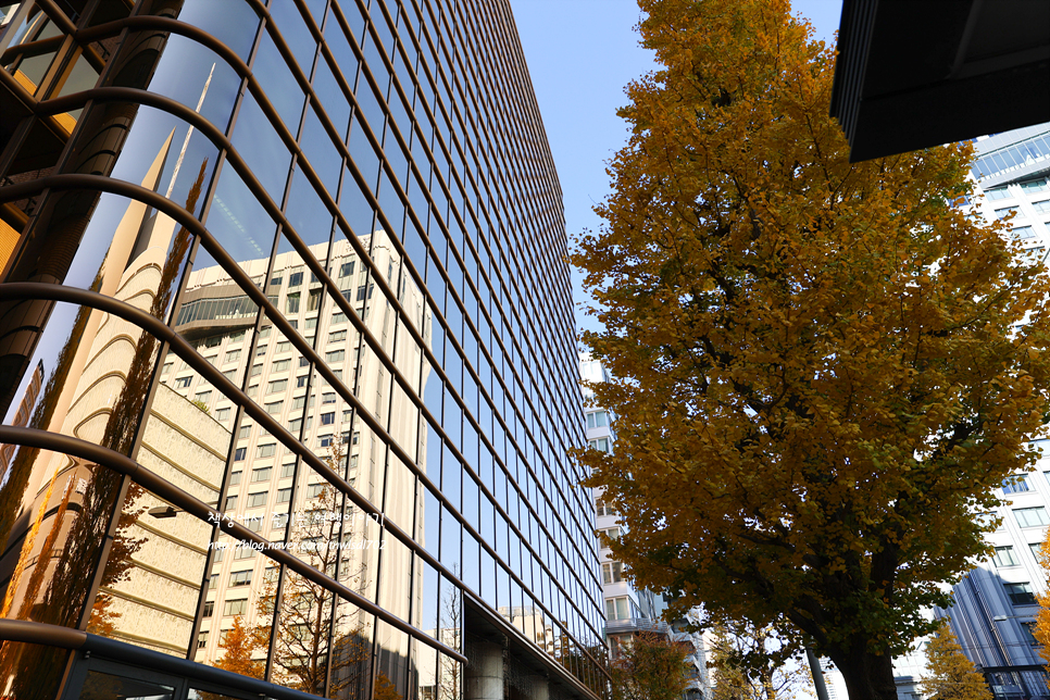 일본 요코하마 하얏트 리젠시 호텔 12월 해외여행