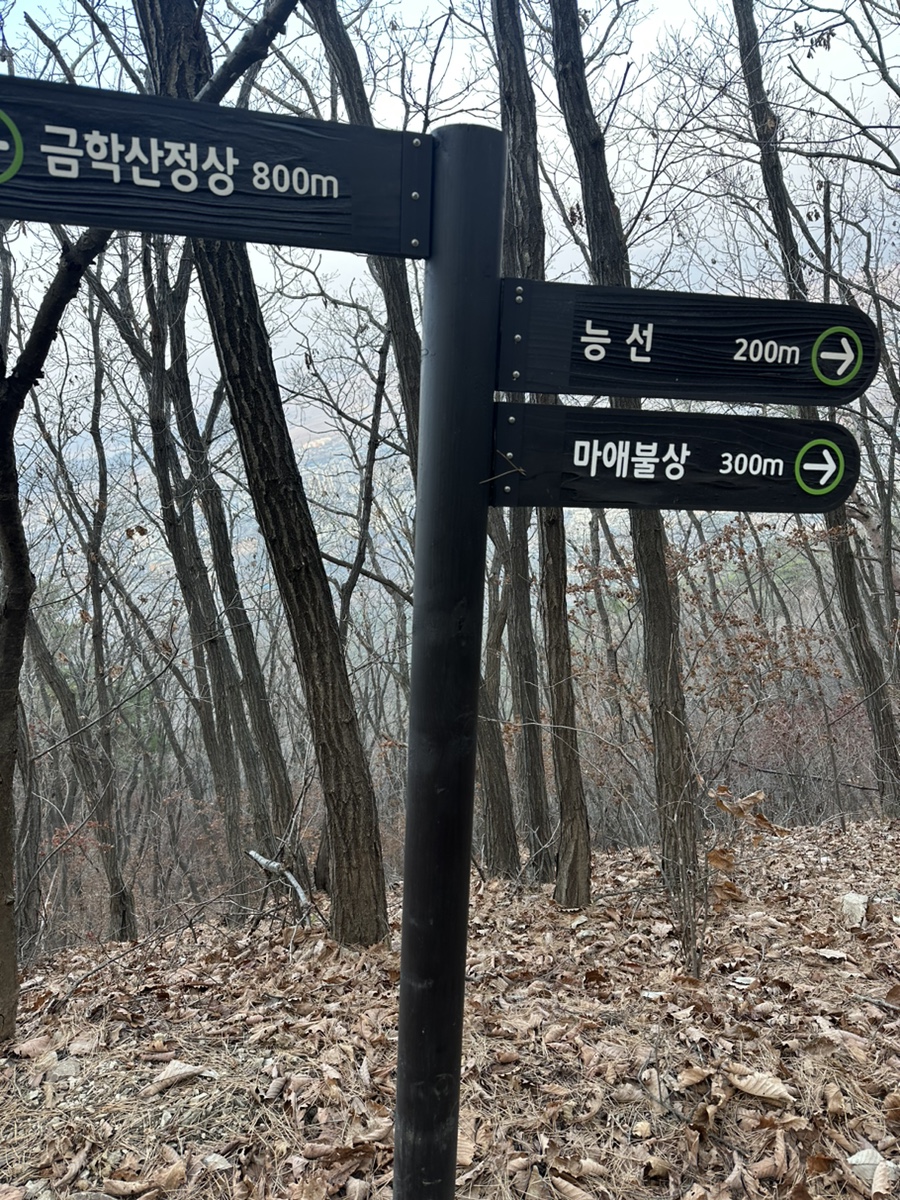 강원도 철원 금학산 등산코스