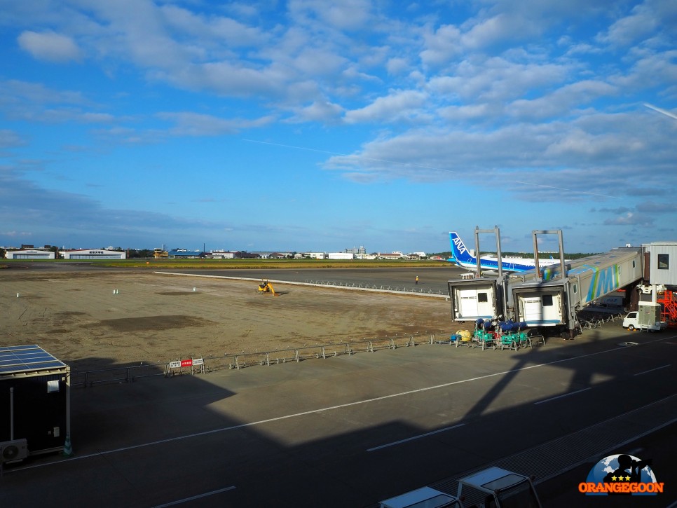(일본 미야자키 / 미야자키 공항) 일본의 제주도? 한 때 신혼여행지로 유명했던 일본 남부의 대표 유향지 미야자키로 가는 길 宮崎空港 Miyazaki Airport