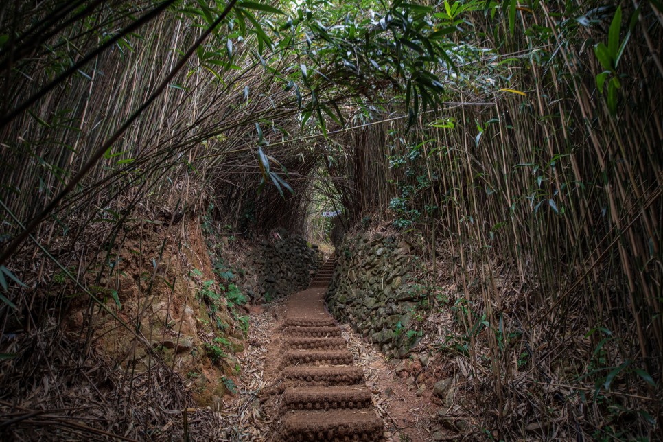 [한려해상국립공원] 걷기 좋은 구조라성 트레킹 코스