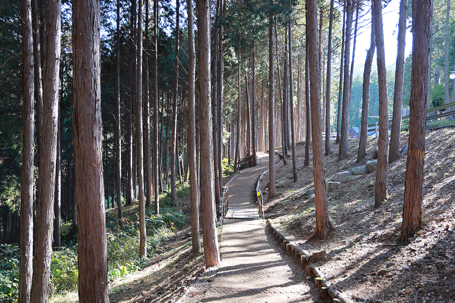 사천 케이블카 자연휴양림 숲캉스 사천여행