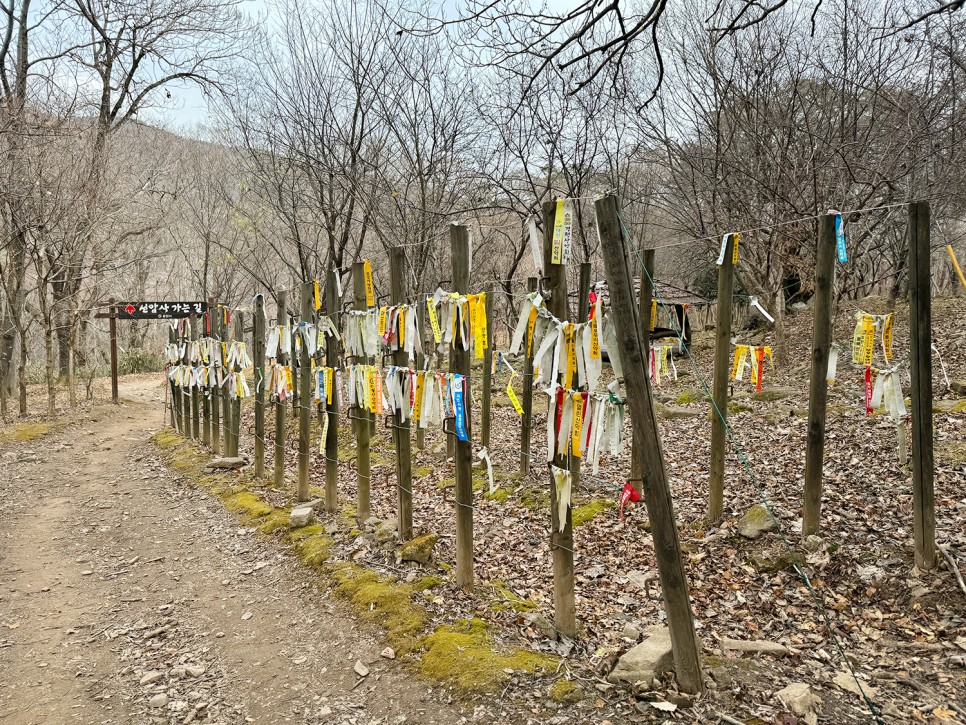 [89] 순천 조계산 반바퀴 등산, 선암사 원점회귀 (보리밥 x)