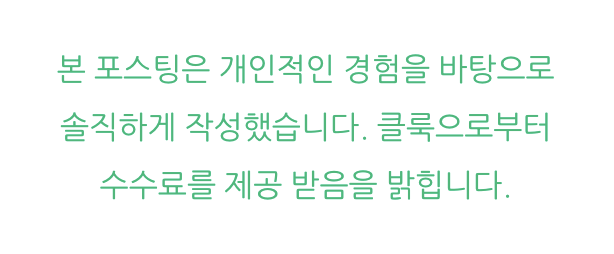 파리 디즈니랜드 티켓 할인 가는법 퍼레이드 정리