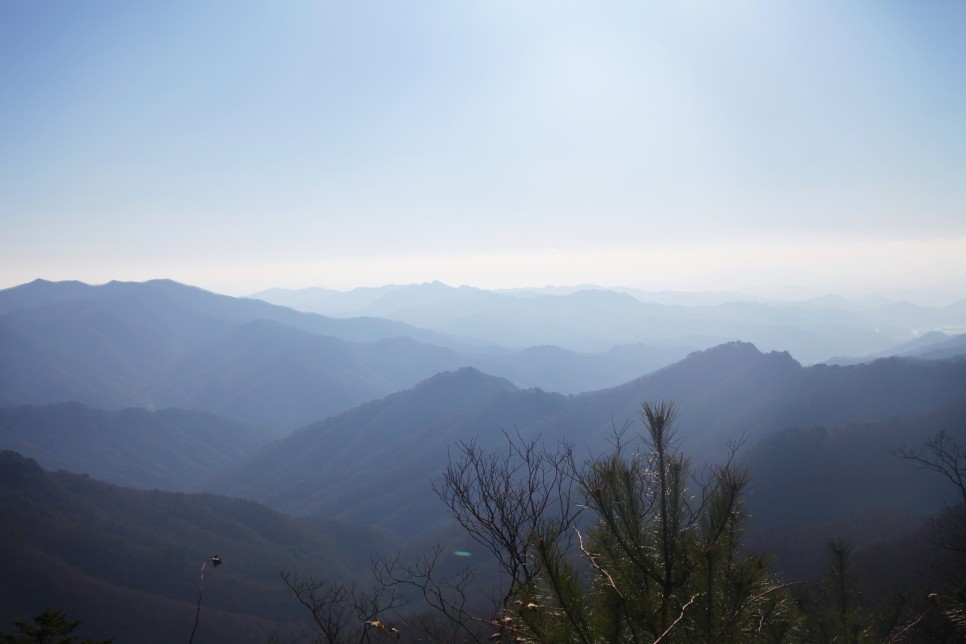 [치악산국립공원] 치악산국립공원 종주 22km  남대봉 & 향로봉 구간