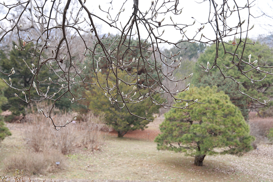 주말 갈만한곳 서울근교 나들이 포천 국립 수목원 광릉수목원 광릉숲