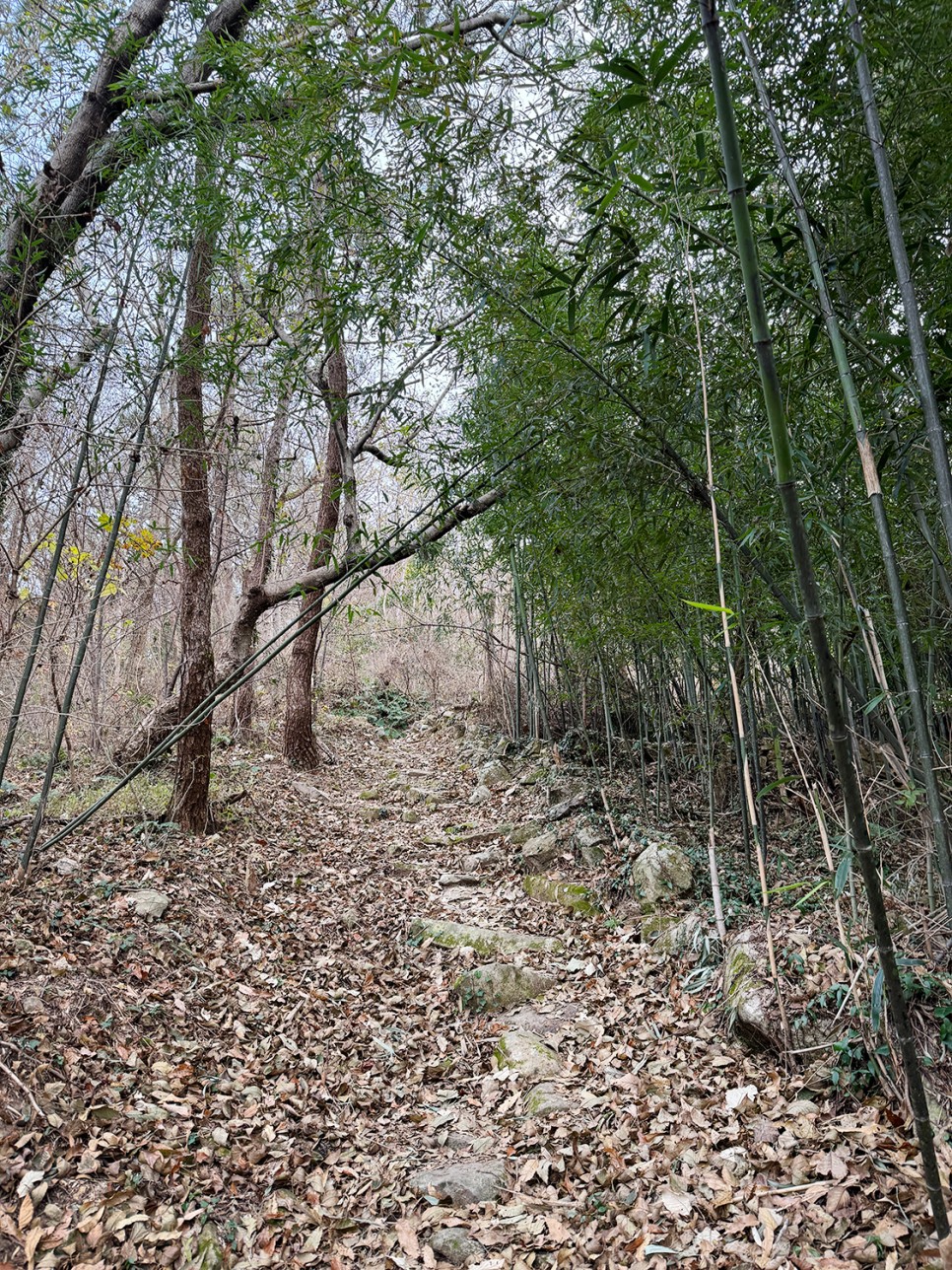 [블랙야크 섬&산] 여수 백야도 백호산 주봉 (1봉~3봉) 원점회귀