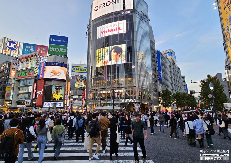 일본 도쿄 자유여행 핫플 볼거리 신주쿠 가부키초타워 · 시부야 스크램블 교차로 도쿄가볼만한곳