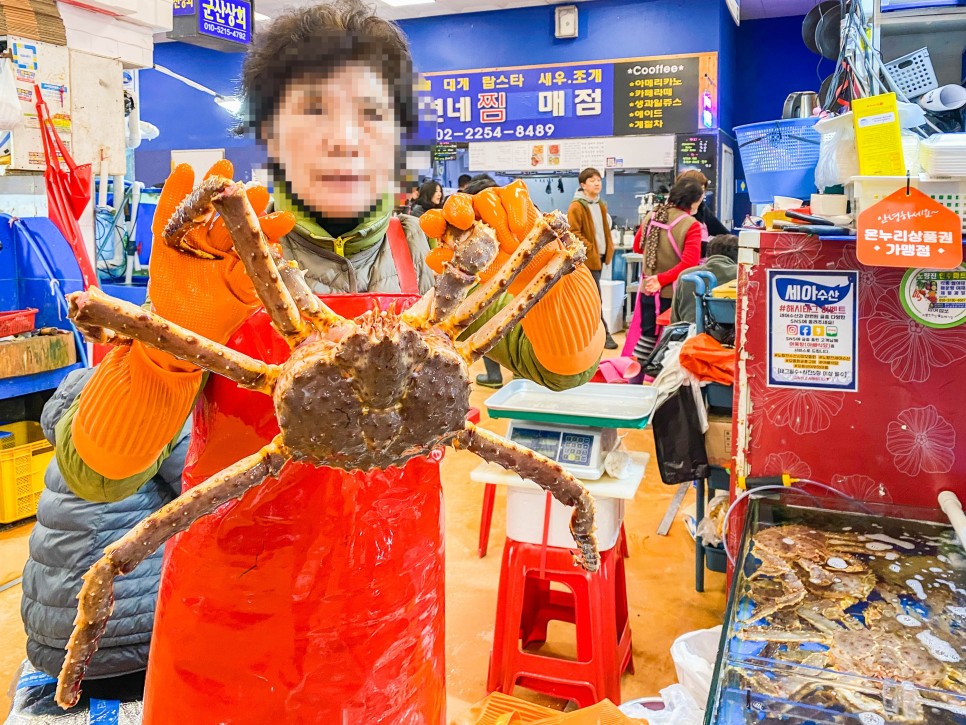 노량진 수산시장 킹크랩 시세 대게시세 방어회포장