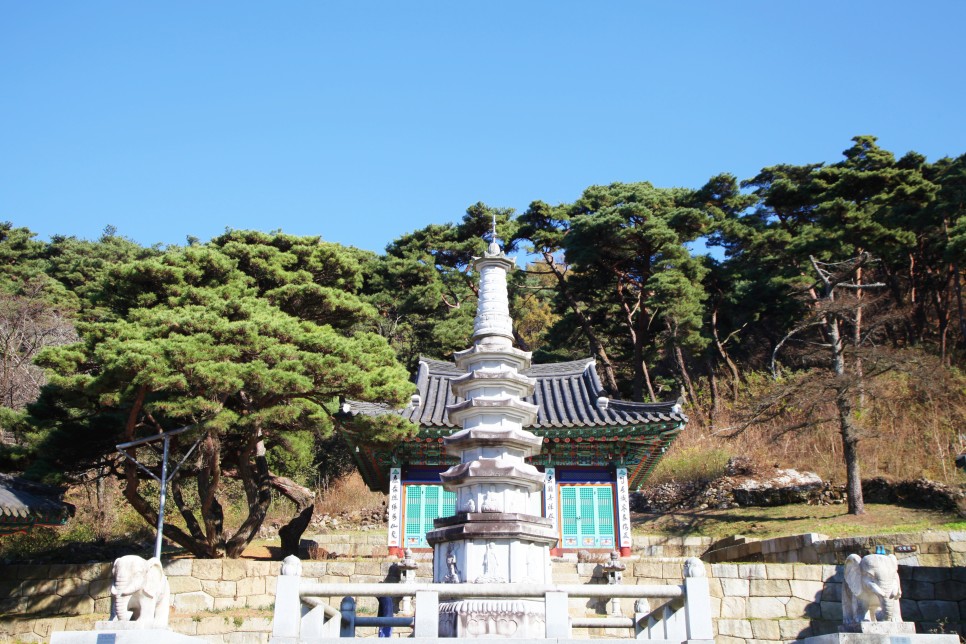 [치악산국립공원] 치악산국립공원 종주 22km  남대봉 & 향로봉 구간