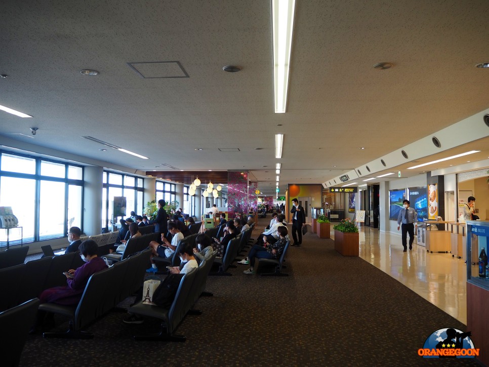 (일본 미야자키 / 미야자키 공항) 일본의 제주도? 한 때 신혼여행지로 유명했던 일본 남부의 대표 유향지 미야자키로 가는 길 宮崎空港 Miyazaki Airport