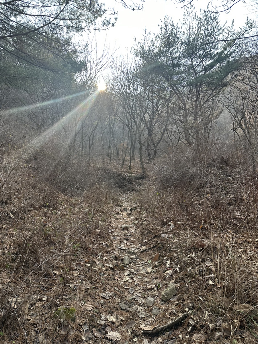 강원도 철원 금학산 등산코스