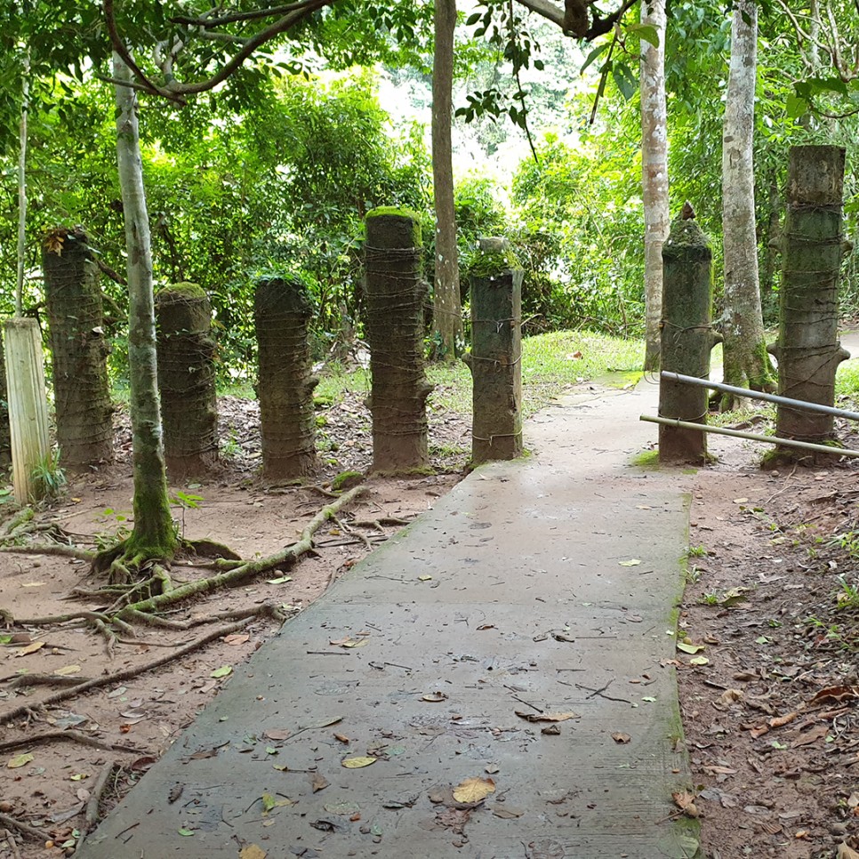 태국 밀림에 최초로 한국 국립공원 탐방로가 개통되다