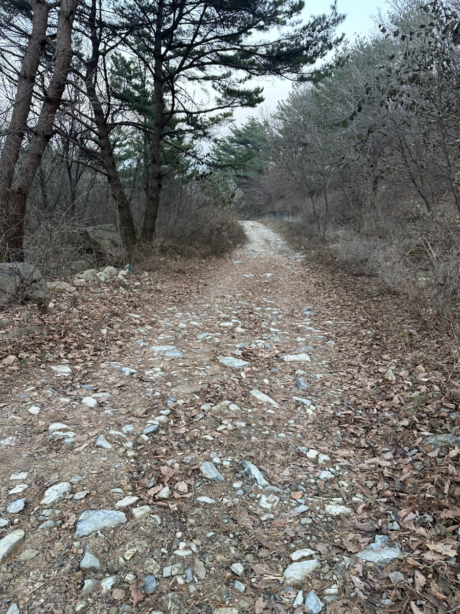 강원도 철원 금학산 등산코스