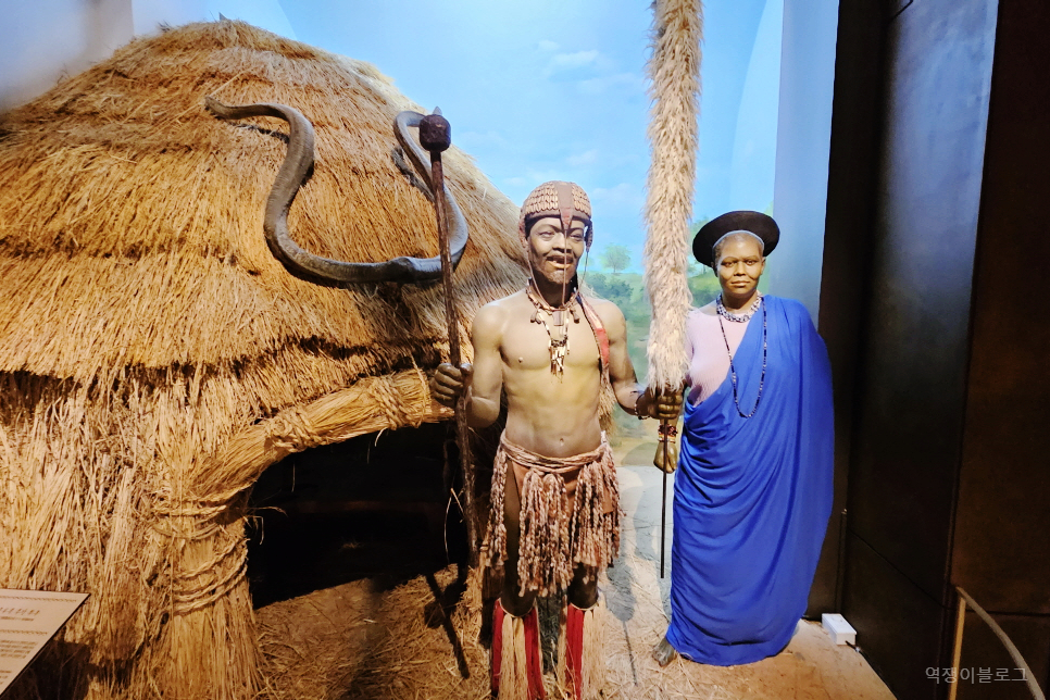 중문 아프리카박물관 제주 아이랑 가볼만한곳 서귀포시 실내 관광지