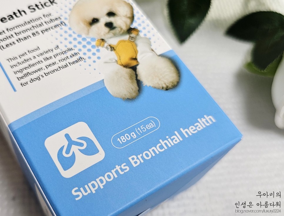 강아지기관지염, 사랑스런 우리 뚜띠와 봉구를 위해 :)