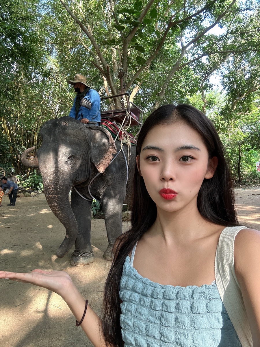 방콕에서 파타야 가는법, 코끼리 몽창카페 & 수상시장 관광, 꼬사메섬 니모섬 스노쿨링, 자유여행 코스