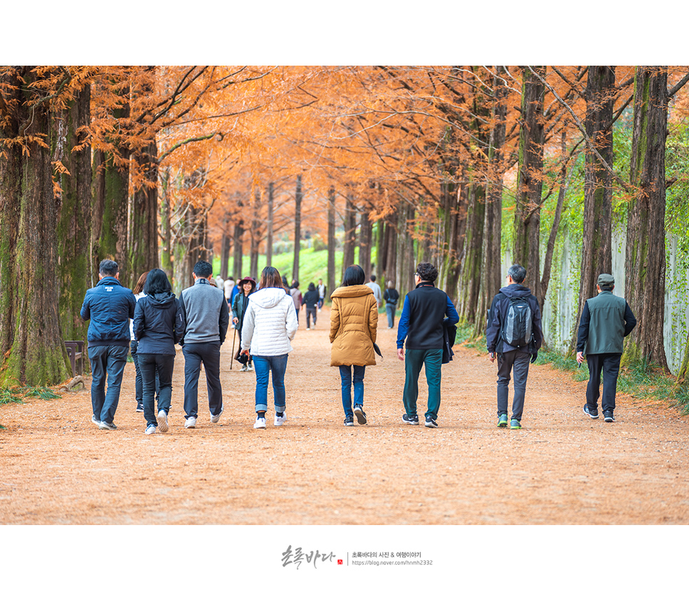 담양 가볼만한곳 먹거리 있는 담양 여행 코스