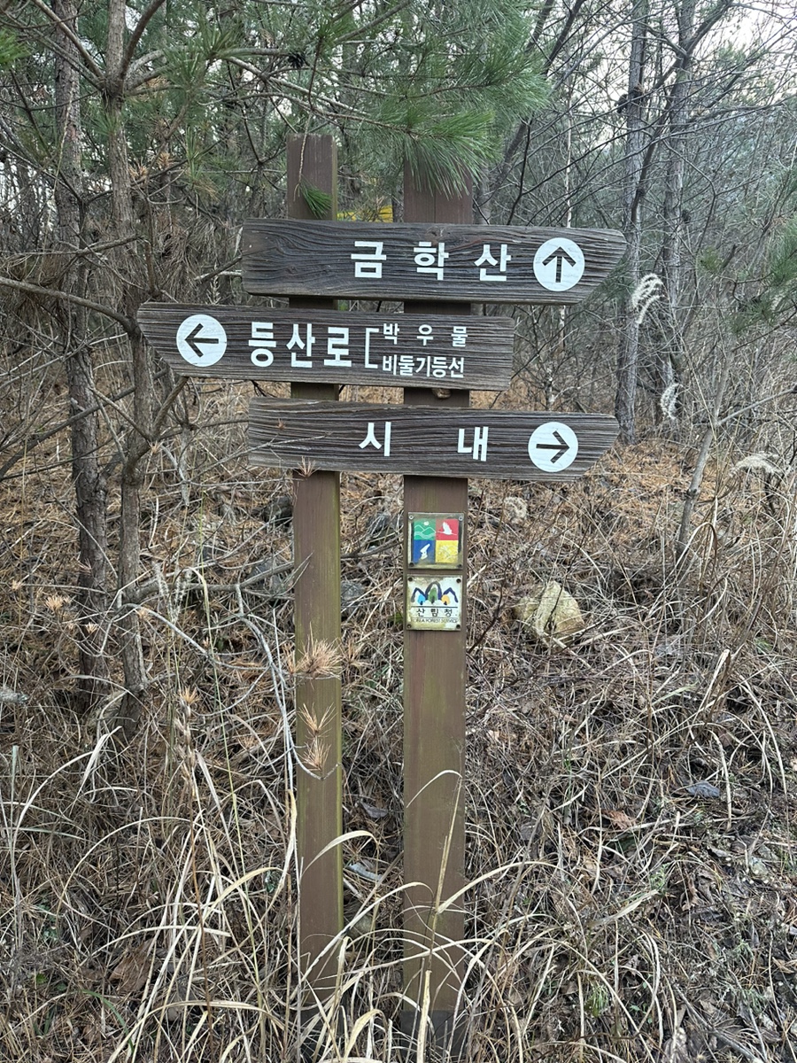 강원도 철원 금학산 등산코스