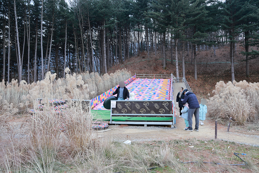 경기도 가볼만한곳 가평 양떼목장 가평 아침고요수목원 오색별빛정원전 크리스마스 갈만한곳