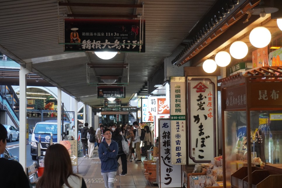 일본 도쿄 하코네 여행 코스, 관광, 후지산 & 가마쿠라 슬램덩크 촬영지, 프리패스, 투어 추천