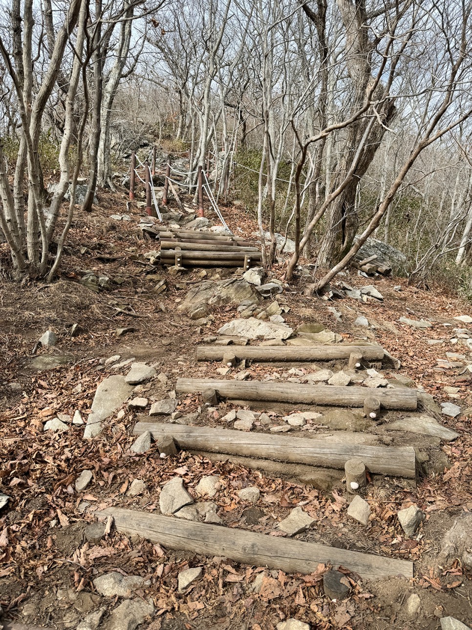 [89] 순천 조계산 반바퀴 등산, 선암사 원점회귀 (보리밥 x)