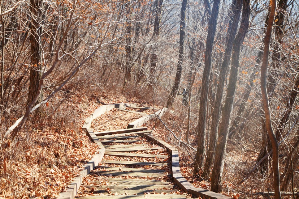 [치악산국립공원] 치악산국립공원 종주 22km  남대봉 & 향로봉 구간