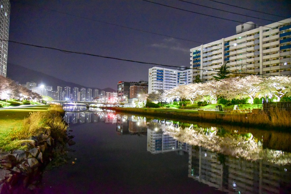 부산여행코스추천 2023년 계절별 아름다운 풍경 결산