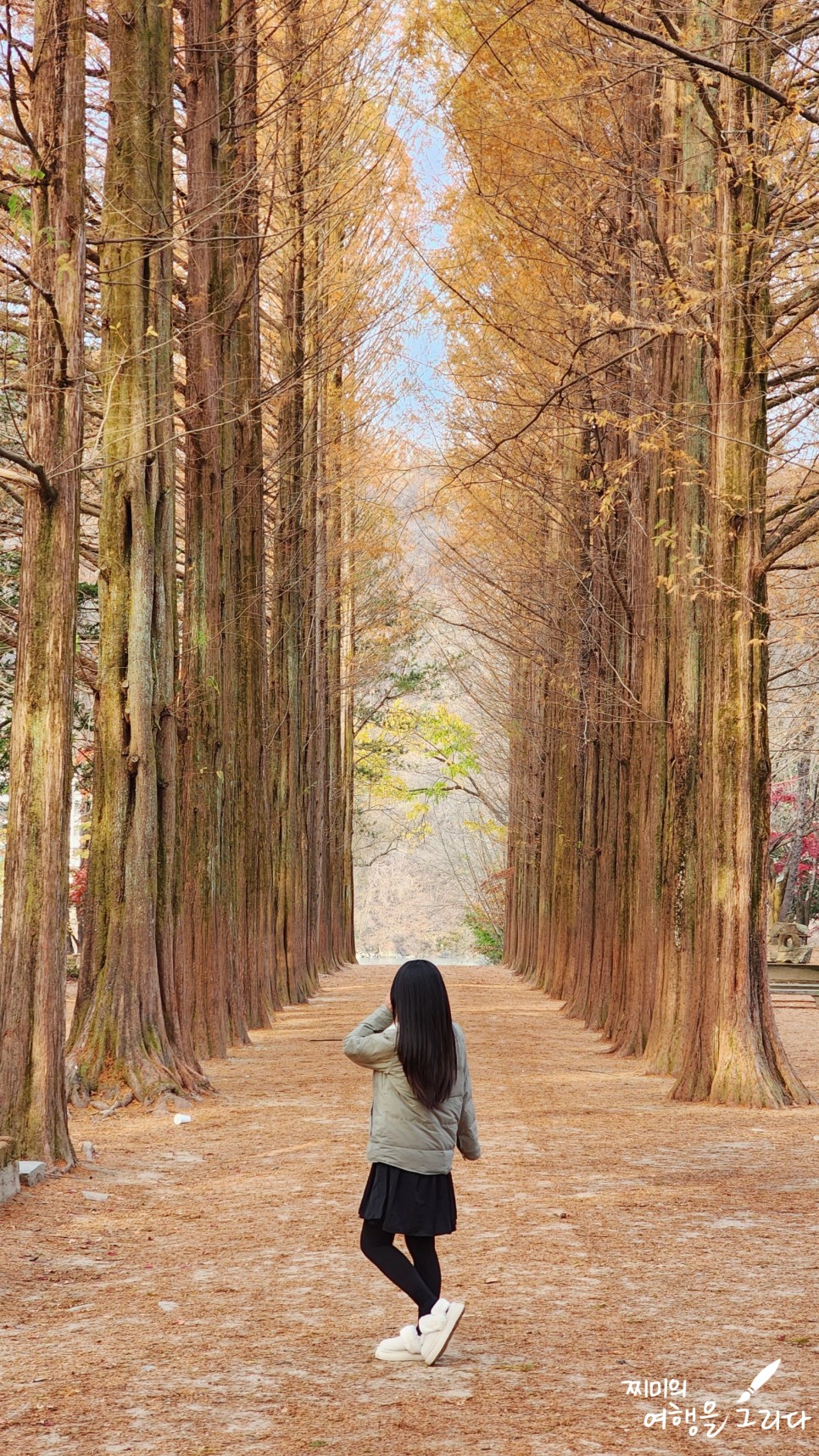 강원도 춘천 남이섬 가볼만한곳 여행 명소 놀거리 배