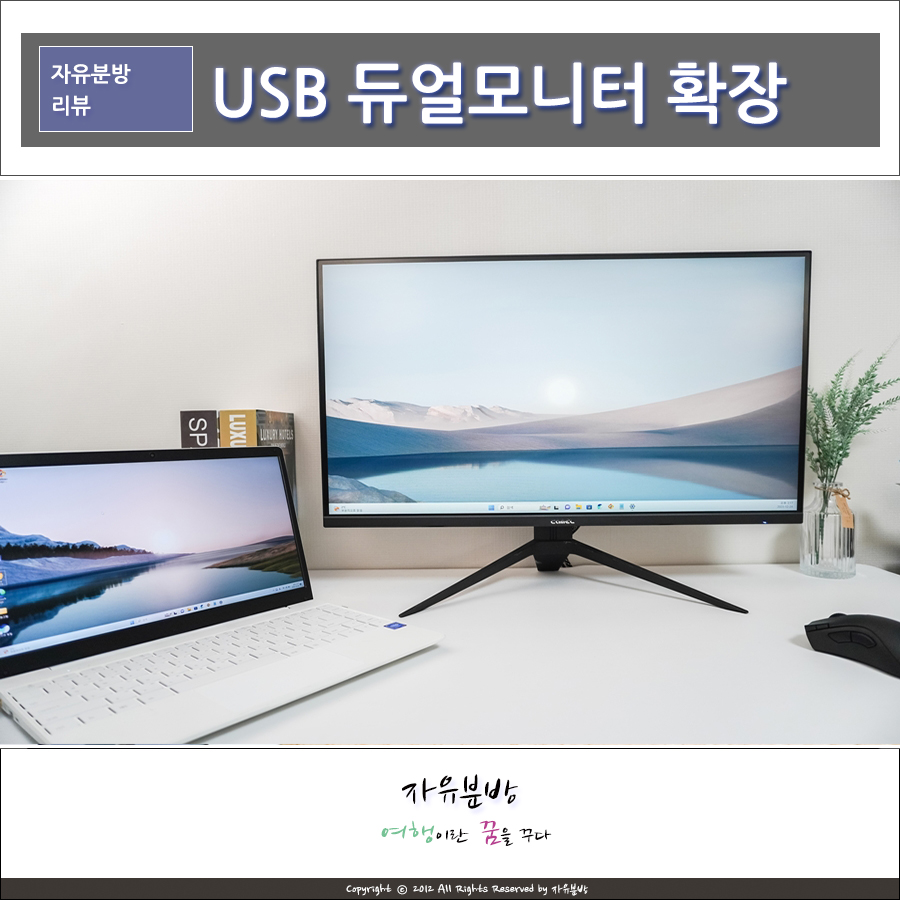 USB 듀얼모니터 확장 및 설정 방법 랜스타 HDMI 영상 컨버터 외장그래픽카드