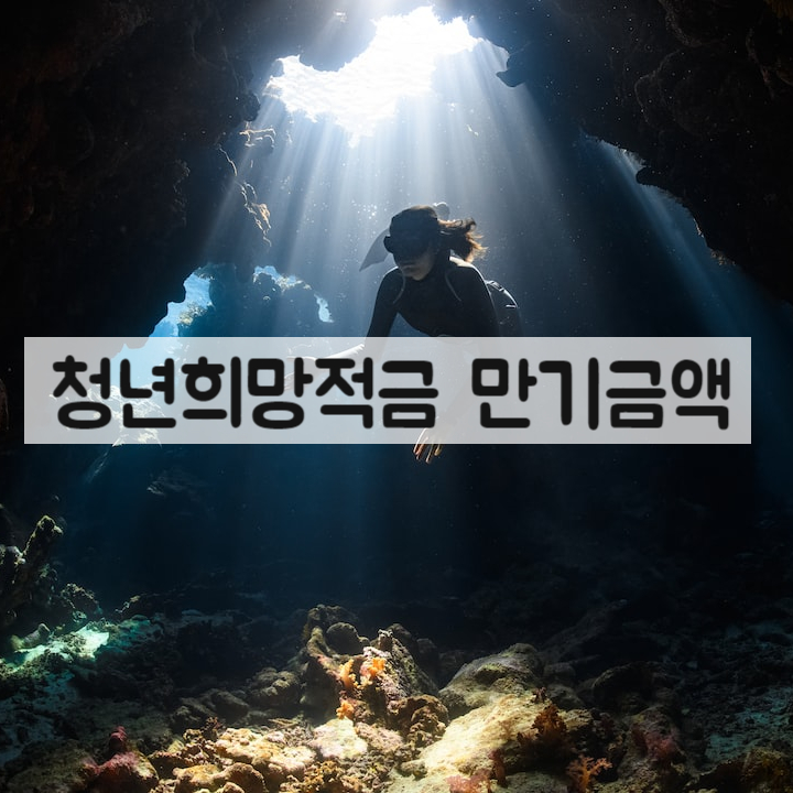 청년희망적금 만기금액 계산방법 및 청년도약계좌로 갈아타기