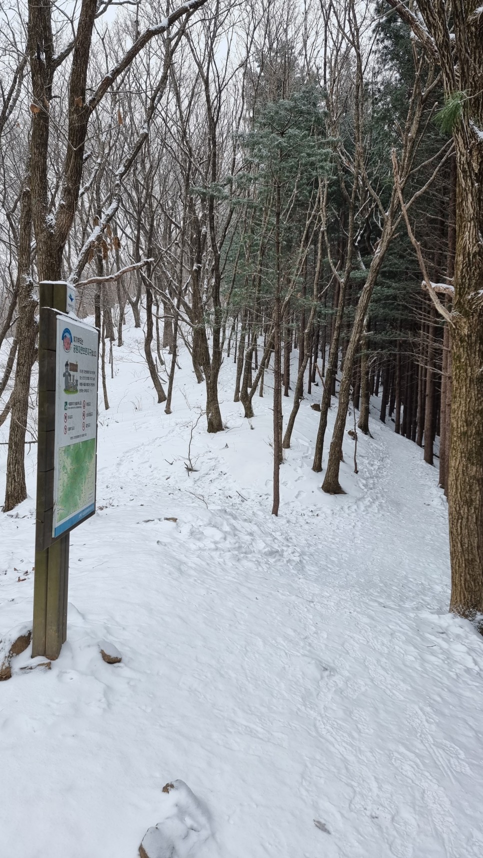 소백산 등산, 화이트 크리스마스 이브 눈꽃 산행 (어의곡~율전 원점회귀)