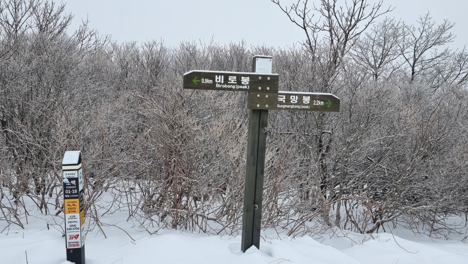 소백산 등산, 화이트 크리스마스 이브 눈꽃 산행 (어의곡~율전 원점회귀)