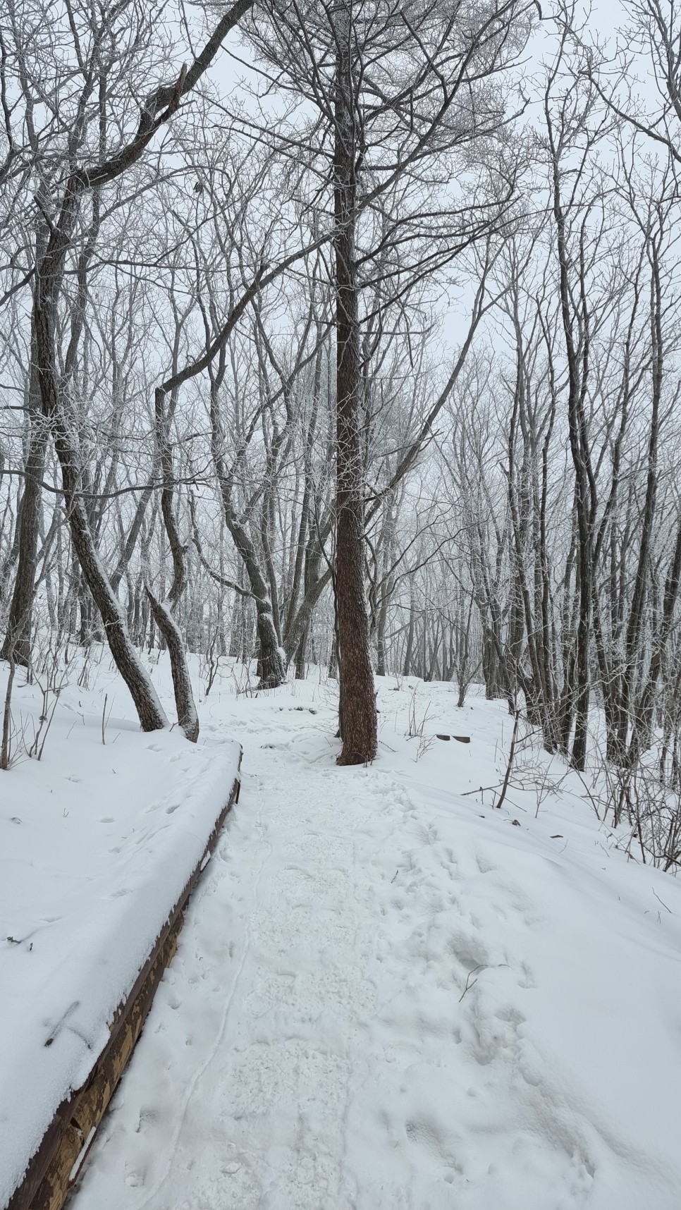 소백산 등산, 화이트 크리스마스 이브 눈꽃 산행 (어의곡~율전 원점회귀)