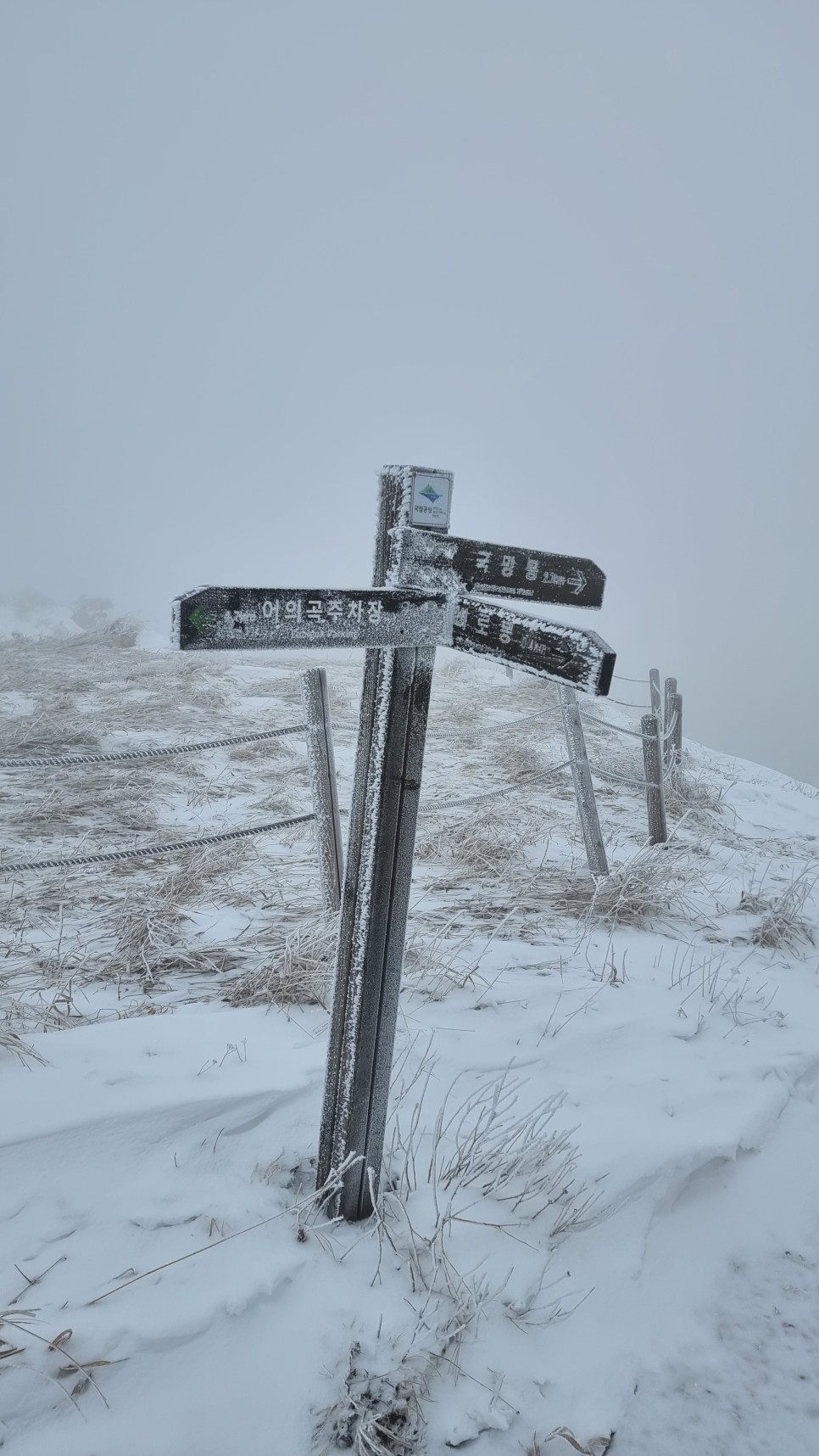 소백산 등산, 화이트 크리스마스 이브 눈꽃 산행 (어의곡~율전 원점회귀)