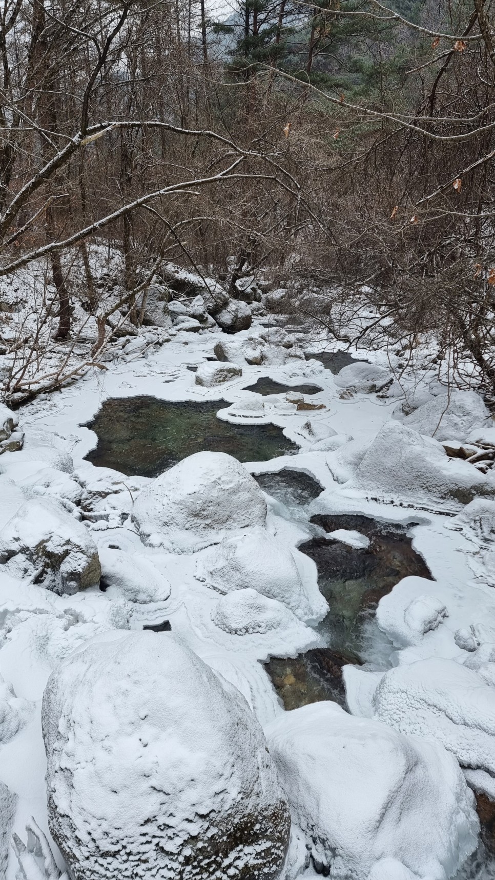 소백산 등산, 화이트 크리스마스 이브 눈꽃 산행 (어의곡~율전 원점회귀)