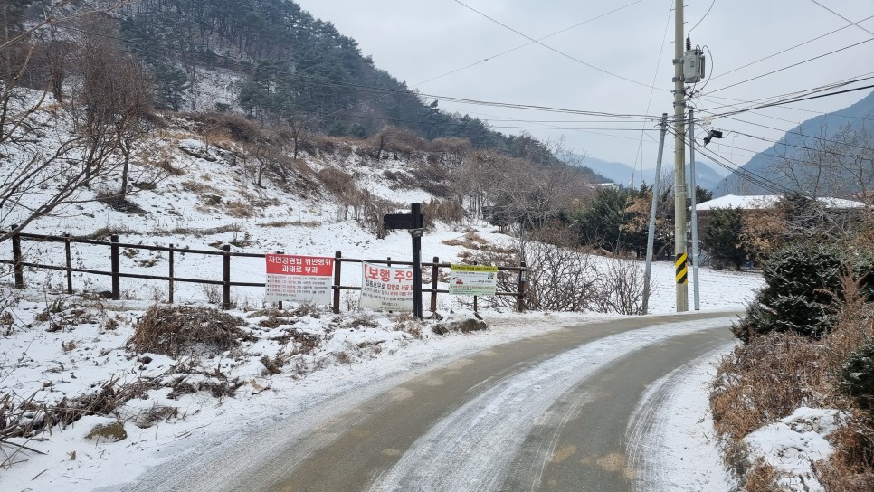 소백산 등산, 화이트 크리스마스 이브 눈꽃 산행 (어의곡~율전 원점회귀)