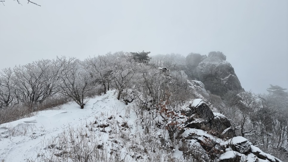 소백산 등산, 화이트 크리스마스 이브 눈꽃 산행 (어의곡~율전 원점회귀)