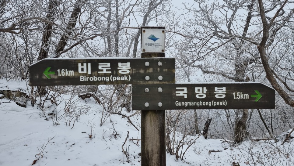 소백산 등산, 화이트 크리스마스 이브 눈꽃 산행 (어의곡~율전 원점회귀)