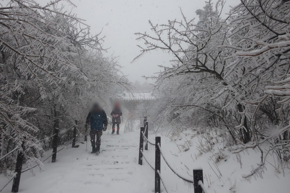 서울에서 대중교통을 이용한 태백산 등산코스 겨울산행