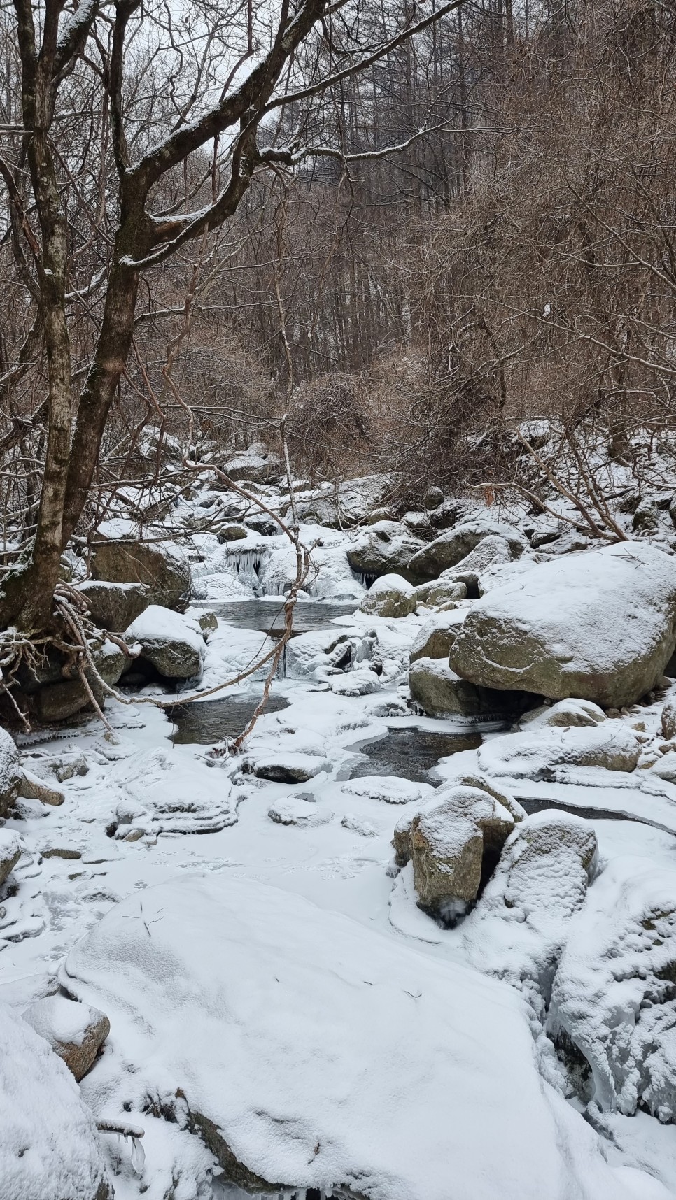 소백산 등산, 화이트 크리스마스 이브 눈꽃 산행 (어의곡~율전 원점회귀)