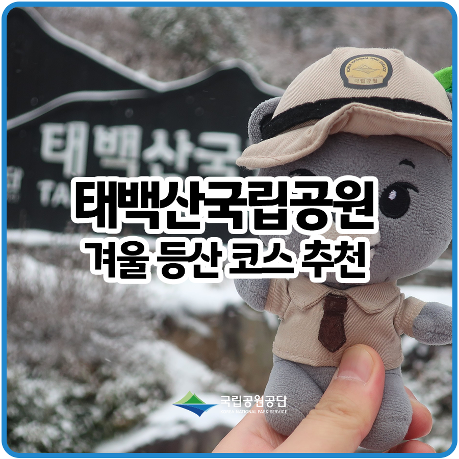 서울에서 대중교통을 이용한 태백산 등산코스 겨울산행