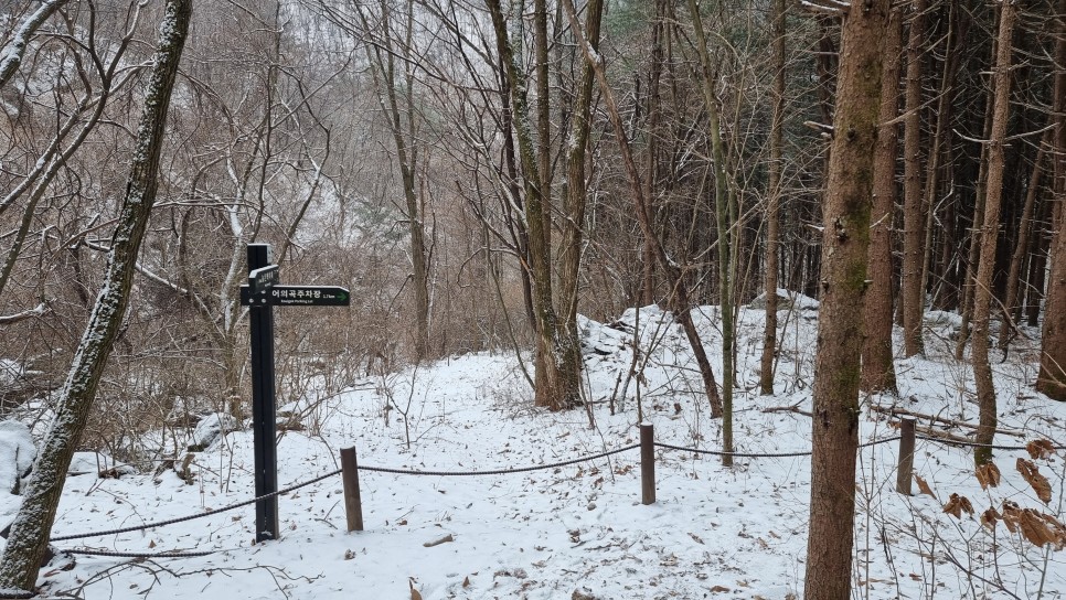 소백산 등산, 화이트 크리스마스 이브 눈꽃 산행 (어의곡~율전 원점회귀)